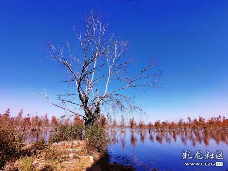 寒假来了:快乐假期安全“不放假” 学校上好寒假前“最后一课”